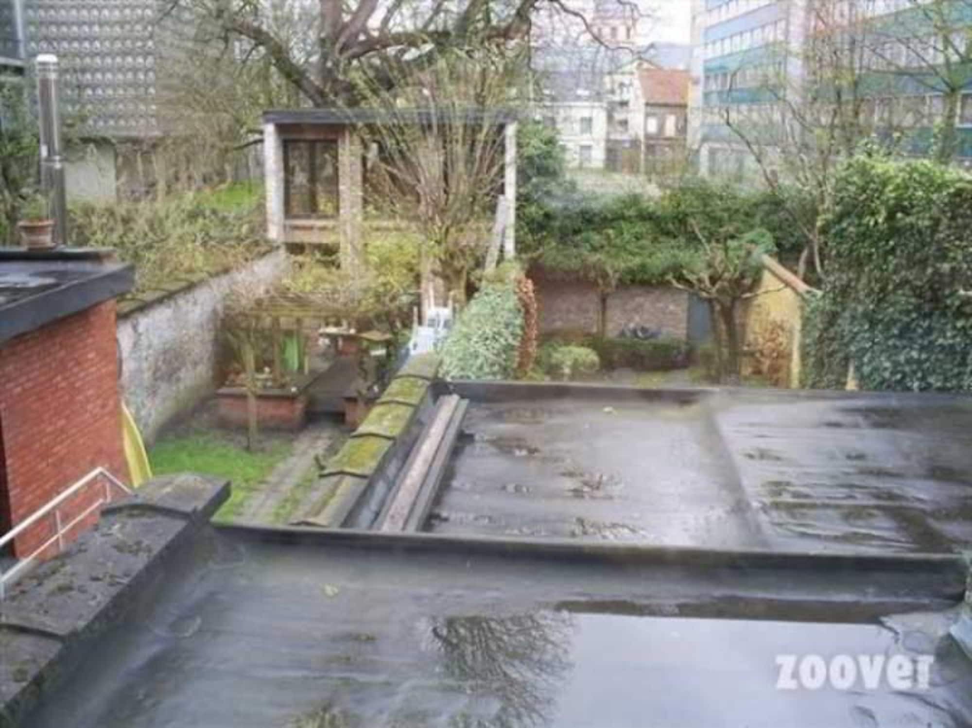 B&B Sparrow'S Nest Ghent Exterior photo